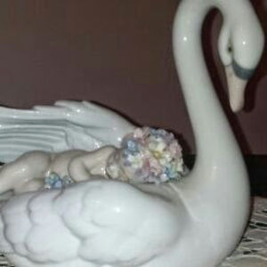 Meet your Posher, Dalila